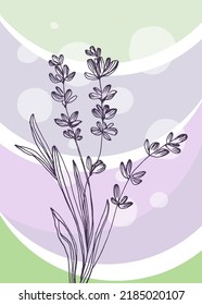 Lavender Abstract Hand Painted Illustrations for Wall Decoration, Postcard, Social Media Banner, Brochure Cover Design Background. Modern Abstract Painting Artwork. Vector Pattern