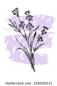 Lavender Abstract Hand Painted Illustrations for Wall Decoration, Postcard, Social Media Banner, Brochure Cover Design Background. Modern Abstract Painting Artwork. Vector Pattern
