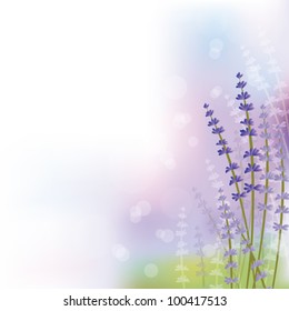 lavender background