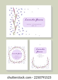 Lavender background card template collection. Vector card