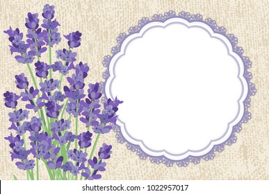 Lavender. Background with lavender flowers, the texture of the canvas and lace border.