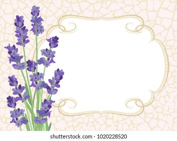 Lavender. Background with lavender flowers and texture crackle.