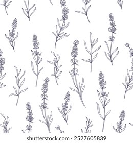 Fondo de lavanda. Diseño de Fondo de pantalla de arte de línea de lavanda. Botanical Line Art para tela, estampados, fondos. Fondo floral inconsútil de lujo con la lavanda. Dibujado a mano Esquema de lavandas
