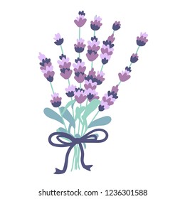 Lavender beautiful bouquet on white background vector illustration