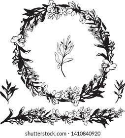 Lavender in black and white