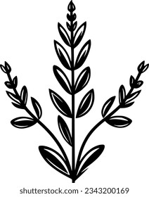 Lavender | Black and White Vector illustration