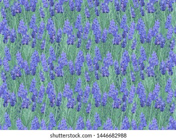 lavender blossom - seamless vector  pattern