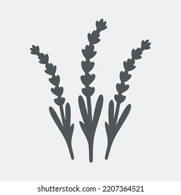 lavender botanic elements vector illustration cut