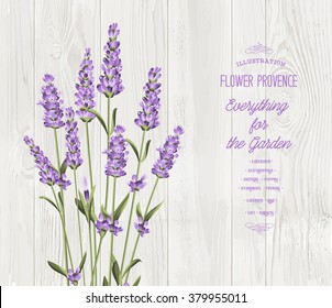 The lavender bouquet.