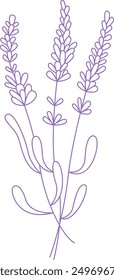 Lavender Bouquet Branches Outline Vector Illustration
