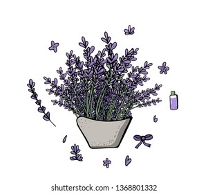 Lavender bouquet composition in doodle style. Flowers elements isolated on white background. Vector illustration.
