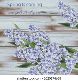 Lavender bouquet on wood background. Spring Vector realistic illustrations