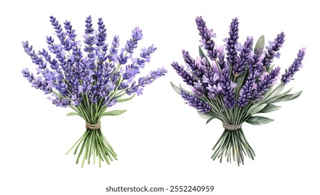 um buquê de lavanda, perfeito para decoração caseira, aromaterapia e projetos com temas naturais. Adiciona um toque de elegância e tranquilidade a qualquer projeto.