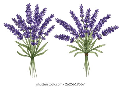 a lavender bouquet, perfect for home decor, aromatherapy, and nature-themed designs. Adds a touch of elegance and tranquility to any project.