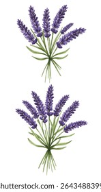 a lavender bouquet, perfect for home decor, aromatherapy, and nature-themed designs. Adds a touch of elegance and tranquility to any project.