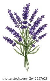 a lavender bouquet, perfect for home decor, aromatherapy, and nature-themed designs. Adds a touch of elegance and tranquility to any project.