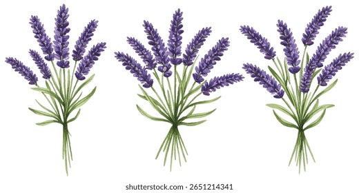 a lavender bouquet, perfect for home decor, aromatherapy, and nature-themed designs. Adds a touch of elegance and tranquility to any project.