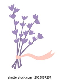 Lavender bouquet with ribbon. Healing and cosmetics herb. Medical plant. For natural organic products. Floral elements. Dried flowers, aromatherapy. Vector illustration isolated on white background.