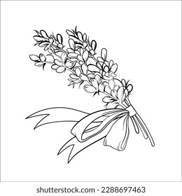Lavender bouquet simple thin line sketches set vector illustration  Hand drawn abstract minimal branches lavender flowers in bundle and ribbon   bow  summer lavander wildflowers for gift