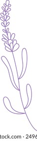 Lavender Branch Doodle Vector Illustration