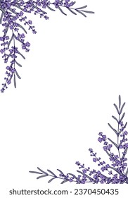 Lavender branch flower frame. Hand drawn vector design for greeting cards, save the date, invitations