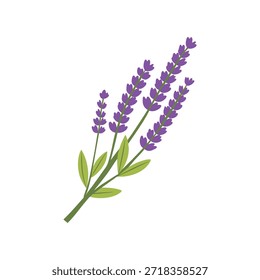 ramo lavanda e flores, vetor, design, ícone