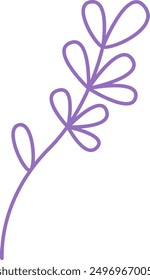 Lavender Branch Outline Vector Illustration