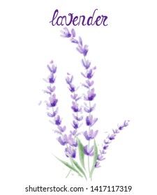 Lavender branch Vector watercolor. Round frame decor illustration