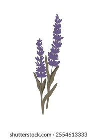 Lavender branches creating a serene, natural environment