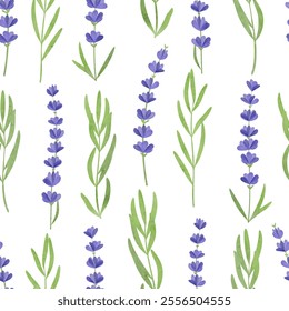 Lavender branches seamless pattern. Vector watercolor floral background