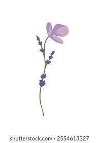 Lavender branches symbolizing tranquility and wellness