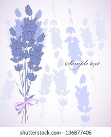 Lavender bunch on white background.