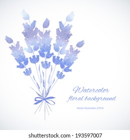 Lavender bunch on white background.