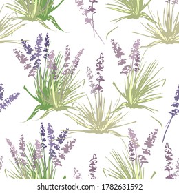 lavender bush,seamless pattern, wallpaper, flower, graphics, dark outline, stencil, tattoo, pattern, color