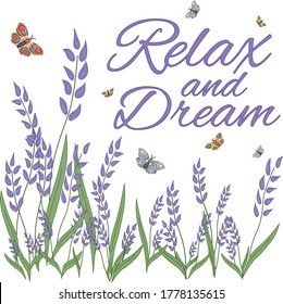 Lavender and Butterfly illustration with Relax and dream logo text saying on white background