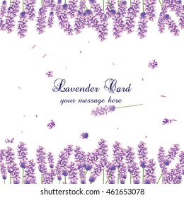 Lavender Card Border Vector. Gentle blossom floral bouquet. Vintage Label with lavender beautiful fragrance