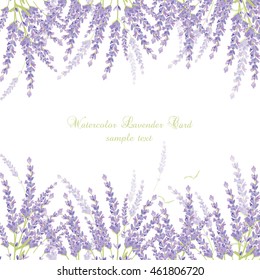 Lavender Card Border Vector. Gentle blossom floral bouquet. Vintage Label with lavender beautiful fragrance