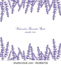 Lavender Card Border Vector. Gentle blossom floral bouquet. Vintage Label with lavender beautiful fragrance