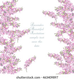 Lavender Card Border Vector. Gentle blossom floral bouquet. Vintage Label with lavender beautiful fragrance