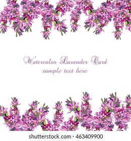 Lavender Card Border Vector. Gentle blossom floral bouquet. Vintage Label with lavender beautiful fragrance