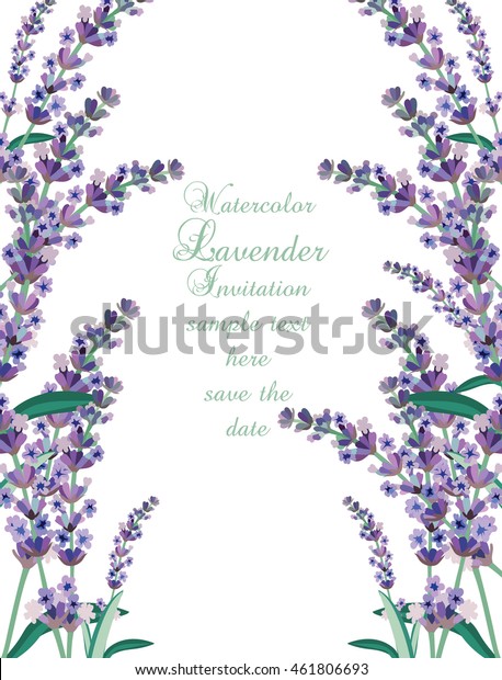 Lavender Card Border Vector Gentle Blossom Stock Vector (Royalty Free ...