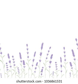 Lavender Card Border Vector. Vintage Label with lavender fragrance. Detailed botanical banner of organic cosmetic, medicine, beauty store, perfume. lavender frame and text. your text presentation.