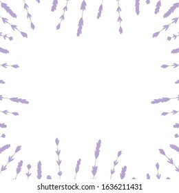 Lavender Card Border Vector. Vintage Label with lavender fragrance. Detailed botanical banner of organic cosmetic, medicine, beauty store, perfume. lavender frame and text. your text presentation