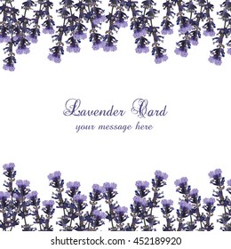 Lavender Card decorated Border. Gentle blossom floral Lavanda bouquet. Vintage Label with lavender beautiful fragrance