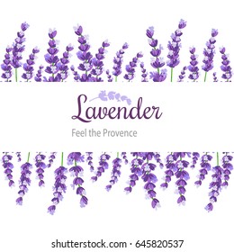 Lavender Card with flowers. Vintage Label with provence violet lavender.