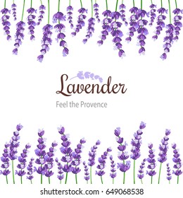 Lavender Card with flowers. Vintage Label with provence violet lavender. Background design for natural cosmetics, beauty store, health care products, perfume, essential oil. 