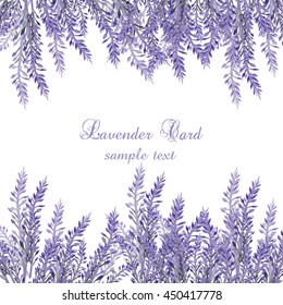 Lavender Card with flowers in watercolor paint style Vector . Gentle blossom floral bouquet. Vintage Label with lavender beautiful fragrance