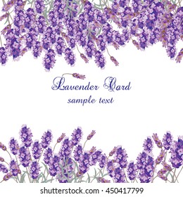 Lavender Card with flowers in watercolor paint style Vector. Gentle blossom floral bouquet. Vintage Label with lavender beautiful fragrance