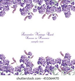 Lavender Card with flowers in watercolor paint style Vector . Gentle blossom floral bouquet. Vintage Label with lavender beautiful fragrance