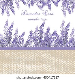 Lavender Card with provence style border. Vector Gentle blossom floral bouquet. Vintage Label with lavender beautiful fragrance